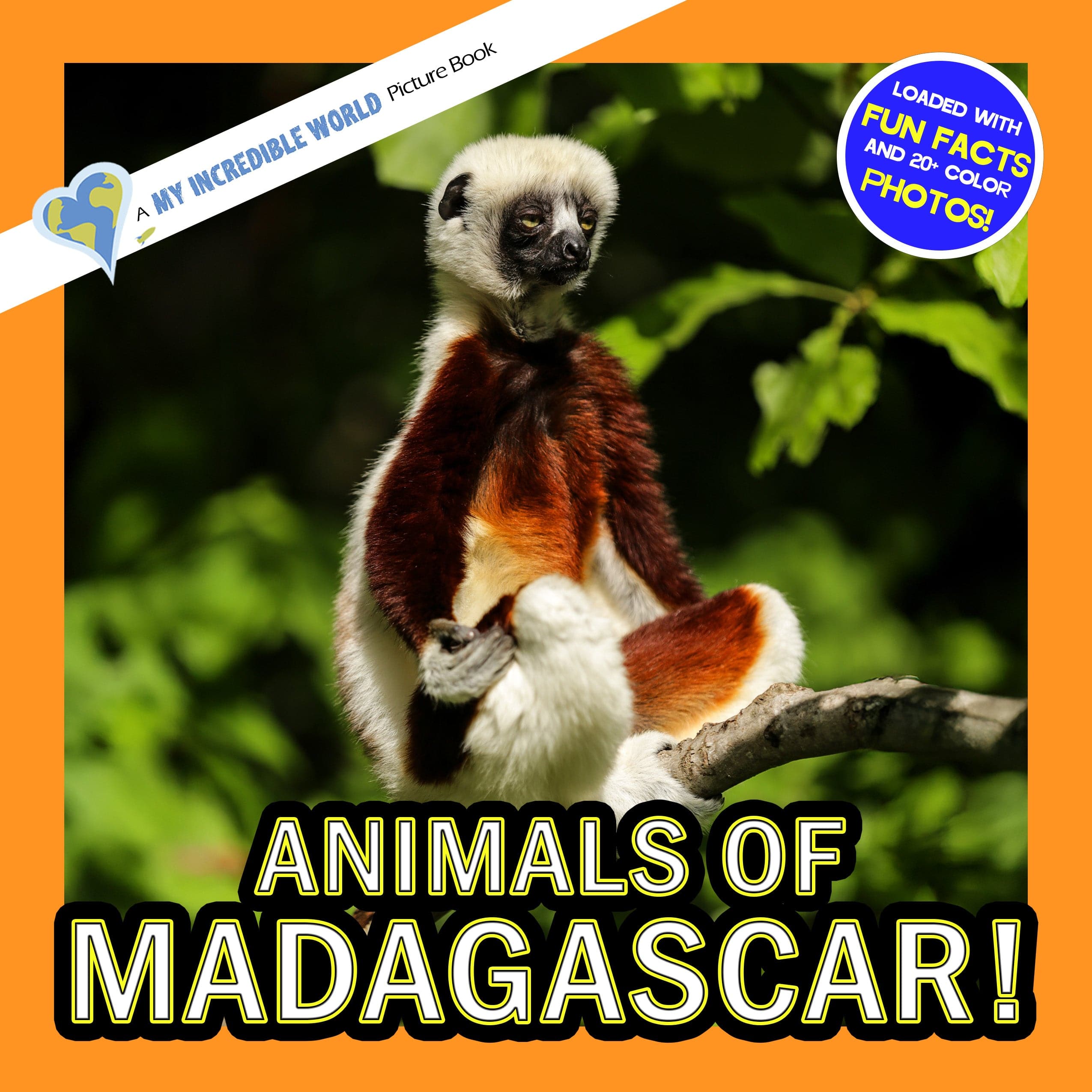 Animals of Madagascar! A My Incredible World Picture Book for Children